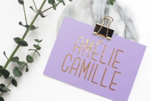 Amélie Camille: A Strategic Framework for Intentional Decision-Making and Sustainable Results
