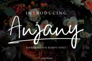 Anjany: A New Standard in Modern Visual Design