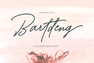 Bartdeng: A Practical Guide to Integrating a Versatile Workflow Platform