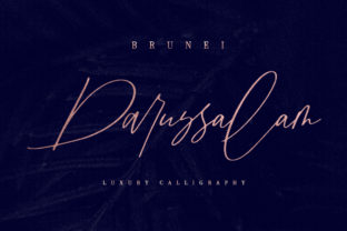 Brunei Darussalam: A Unique Blend of Tradition, Prosperity, and Sustainability