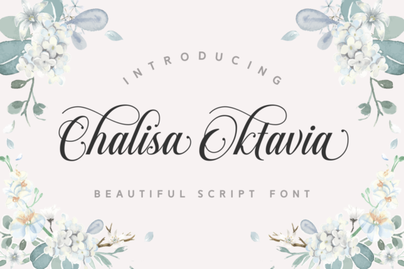 Chalisa Oktavia: A Practical Guide to Modern Productivity