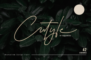 Cutyle Script: Streamline Your Content Creation Workflow