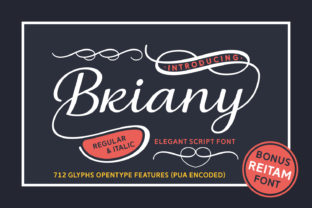 Embracing Briany: A Practical Guide to Sharper Thinking and Better Decisions