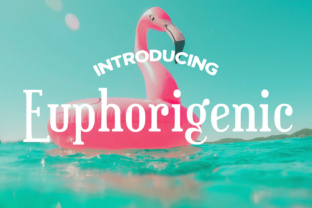 Euphorigenic Design: Crafting Peak Experiences