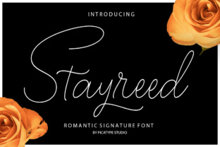 How Stayreed Streamlines Your Workflow from Planning to Execution