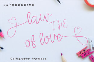 The Law of Love: A Practical Framework for Meaningful Connections and Professional Growth