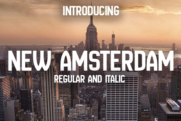 The Practical Modus Operandi of New Amsterdam Spirits