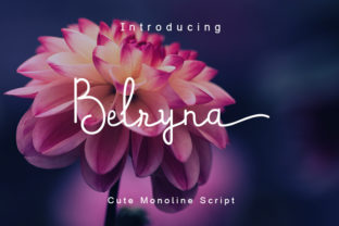 Understanding Belryna: A Practical Guide to Its Strengths, Tradeoffs, and Ideal Use Cases