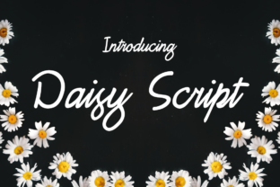 Why Daisy Script Is Reshaping How Professionals Approach Automation and Web Workflows